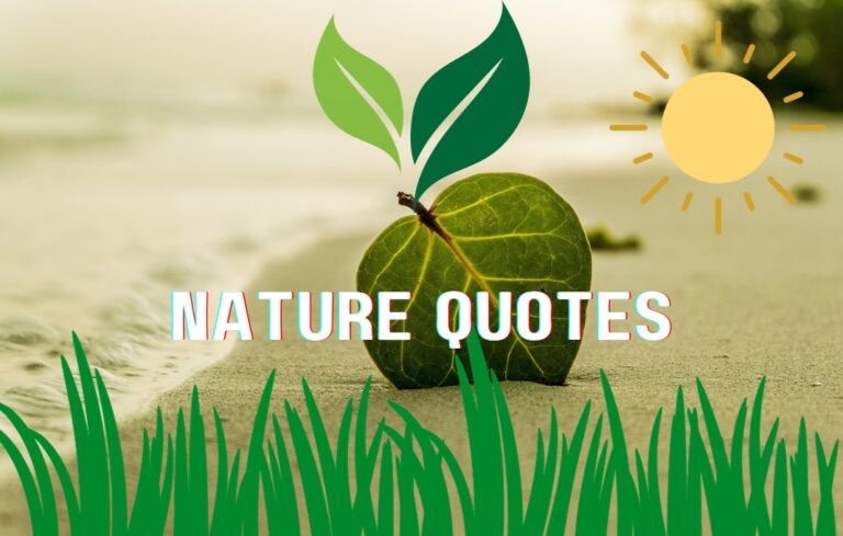 60 Inspiring Quotes About Nature